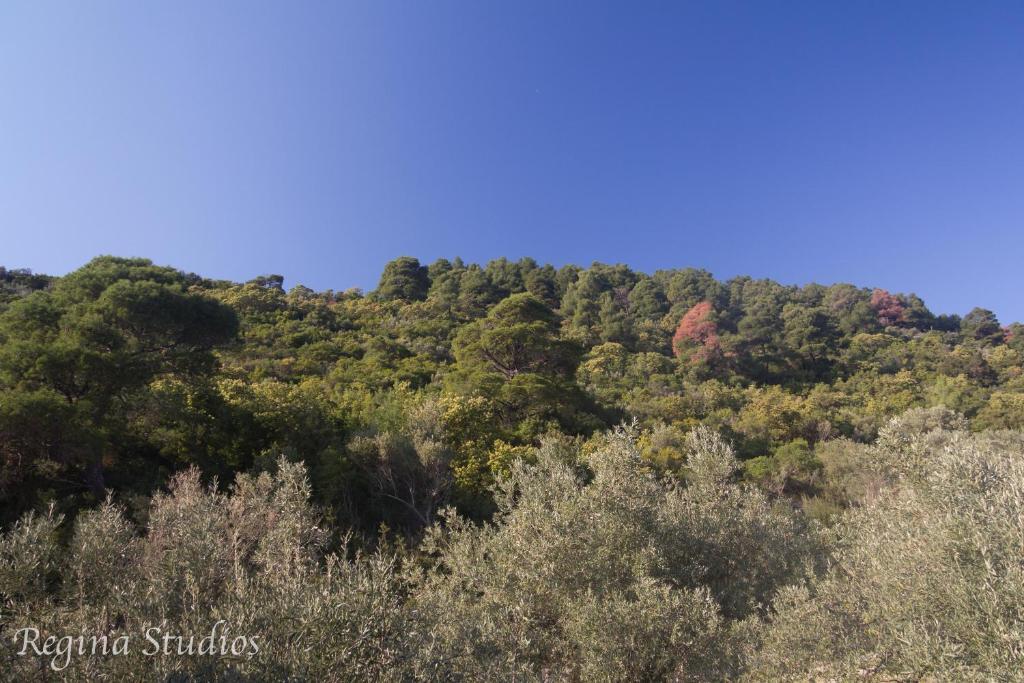 Skalopati Studios & Villa Panormos  Exterior photo